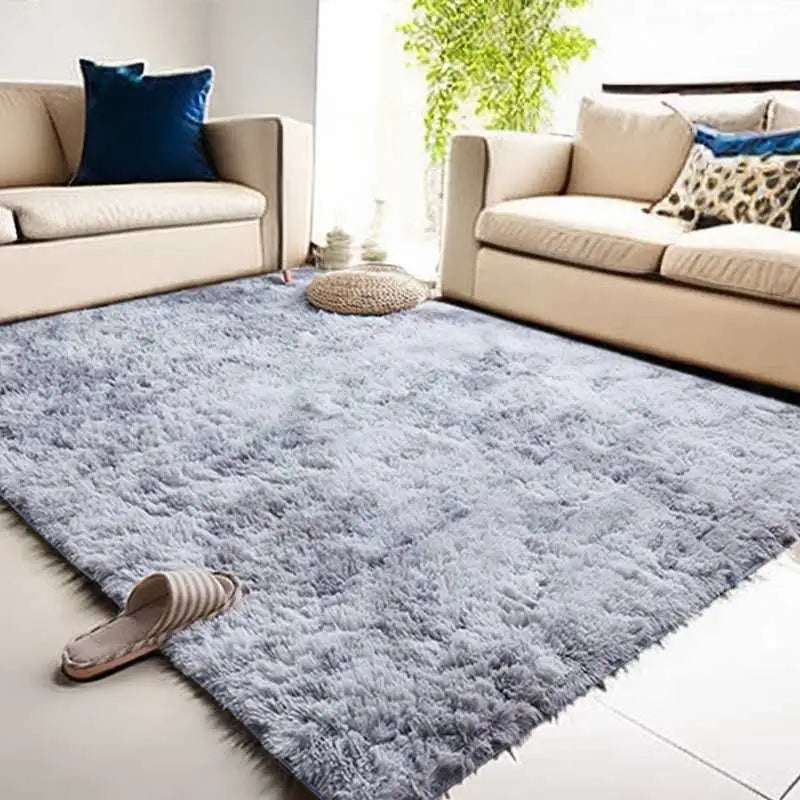 Modern Soft Fluffy Plush Carpet