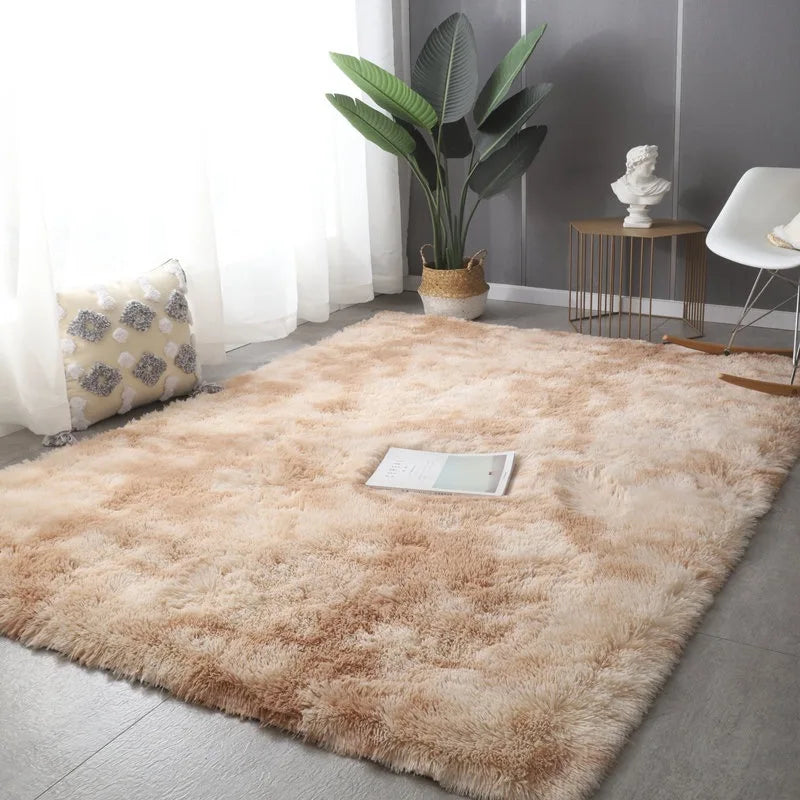Modern Soft Fluffy Plush Carpet