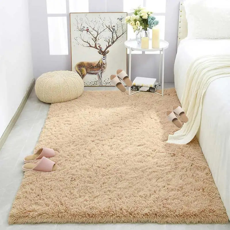 Modern Soft Fluffy Plush Carpet