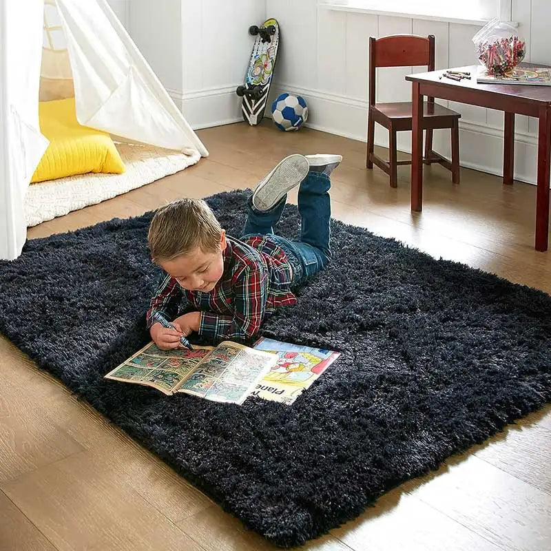 Modern Soft Fluffy Plush Carpet