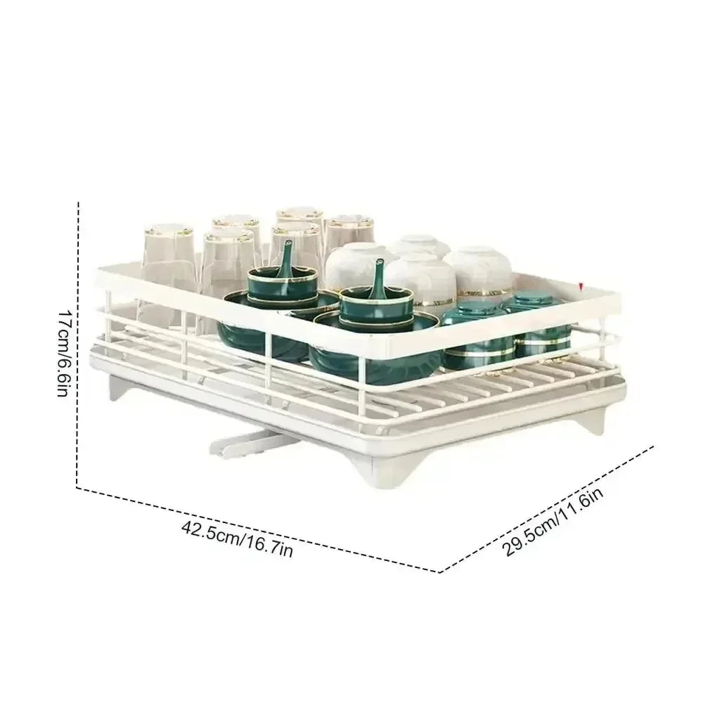 Dish Drying Rack with Drainboard